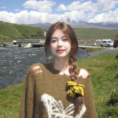 特洛伊艾迪 海报