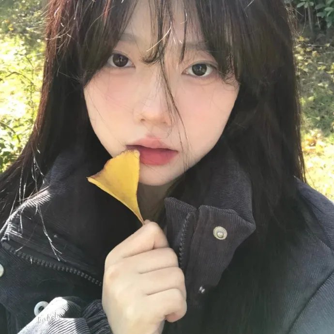 麦德兰:迷失在巴黎 海报